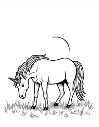 Unicorn grazes on a meadow at su
