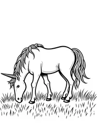 Unicorn grazes on a meadow at sunset