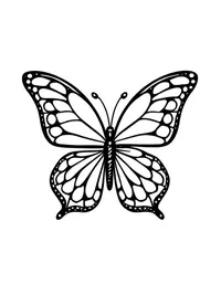 Simple and Easy butterfly