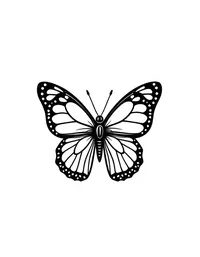 Simple and Easy butterfly