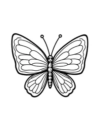 Simple and Easy butterfly