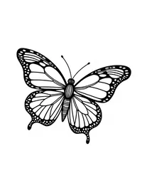 butterfly explores a butterfly sanctuary coloring pages