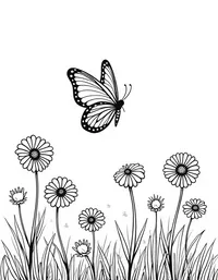 butterfly flits between daisies in a meadow