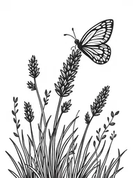 butterfly perches on a blooming lavender bush coloring pages