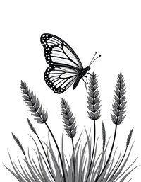 butterfly perches on a blooming lavender bush