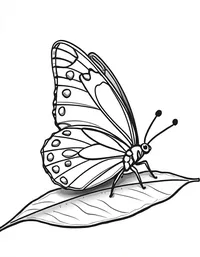 butterfly rests on a dew-covered leaf coloring pages