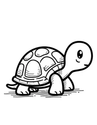 Simple and Easy turtle