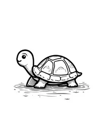 Simple and Easy turtle