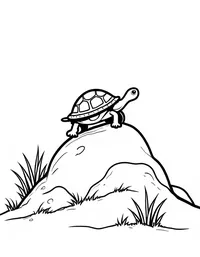 turtle climbing a rocky hill