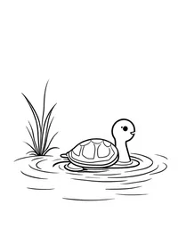 turtle floating in a serene lake