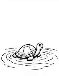 turtle floating in a serene lake