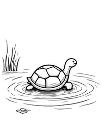 turtle floating in a serene lake