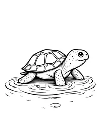 turtle playing in shallow water