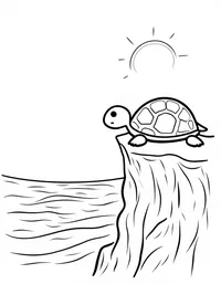 turtle watching sunrise from a cliff